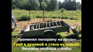 № 23 Променял пилораму на пруды / Гриб в душевой / Вековые зелёные столбы