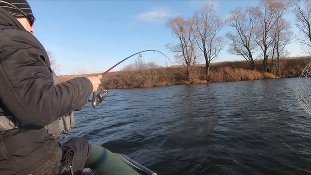 Спиннинг в ноябре! Опять не обошлось без сетей, а под конец рыбалки на воблер поймали даже блесну! смотреть онлайн