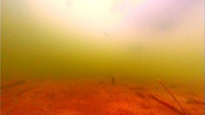 Оснастка на Окуня  ЖУК ПЛАВУНЕЦ + Подводные Съемки