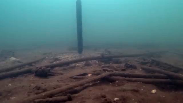 Реакция рыбы на музыку, вибрацию. Подводная съемка. Телефон Land Rover P60 смотреть онлайн