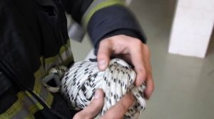 сматывание в клубок