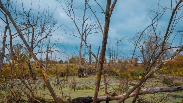 Национальный парк "Орловское полесье" смотреть онлайн