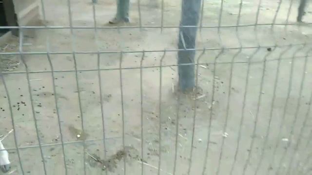 Прогулка по Евпатории Парк миниатюр Евпатория ❤Любимый Крым❤