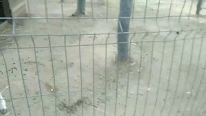 Прогулка по Евпатории Парк миниатюр Евпатория ❤Любимый Крым❤