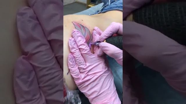 Процесс создания татуировки. KotTattoo Studio