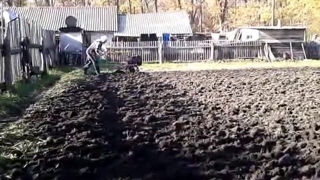 Первая вспашка. Мотоблок Салют-5 B&S 6.0 смотреть онлайн