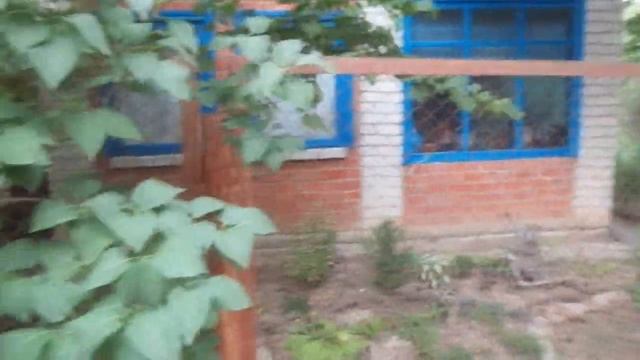 Крым. Скучная прогулка у опушки леса. смотреть онлайн