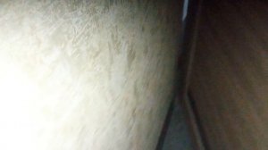 Ужасный и разрисованный лифт млм 2017