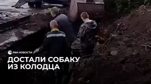 Вытащили собаку из колодца