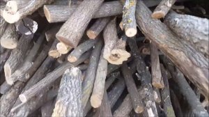 ПИЛЮ ДРОВА 5  ЕВРО ЗА КУБ СТОИТ РАСПИЛКА МОИ БЕНЗИН МОЕ МАСЛО