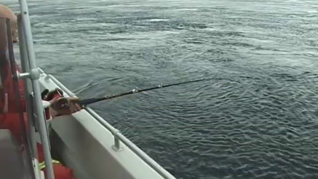 Рыбалка в жутких водоворотах Сальтстраумена смотреть онлайн