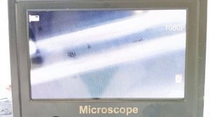 nikon sb700 замена лампы и igbt rjp5001