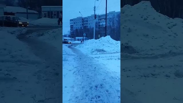 По всей Маймаксе рубят просеку для прокладки газовой трубы, прислали видео с 26го лесозавода.