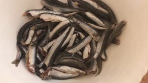 Как подавать хамсу к столу ! Для тех кто не знает 😉