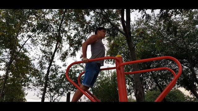 Что будет если отжиматься каждый день с весом на брусьях 30 дней? смотреть онлайн