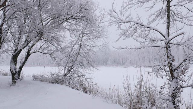 С НАЧАЛОМ ОСЕНИ! Очень красиво! Это Потрясающая, Просто невероятная музыка для души Сергея Чекалина