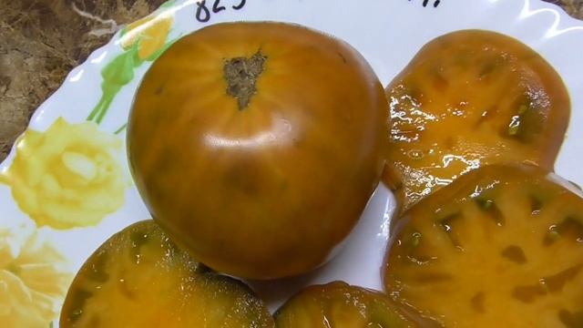 От новинок томатов глаза разбегаются! Томатный Гном Улуру Охра такой вкусный!