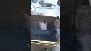 мангал из газового баллона