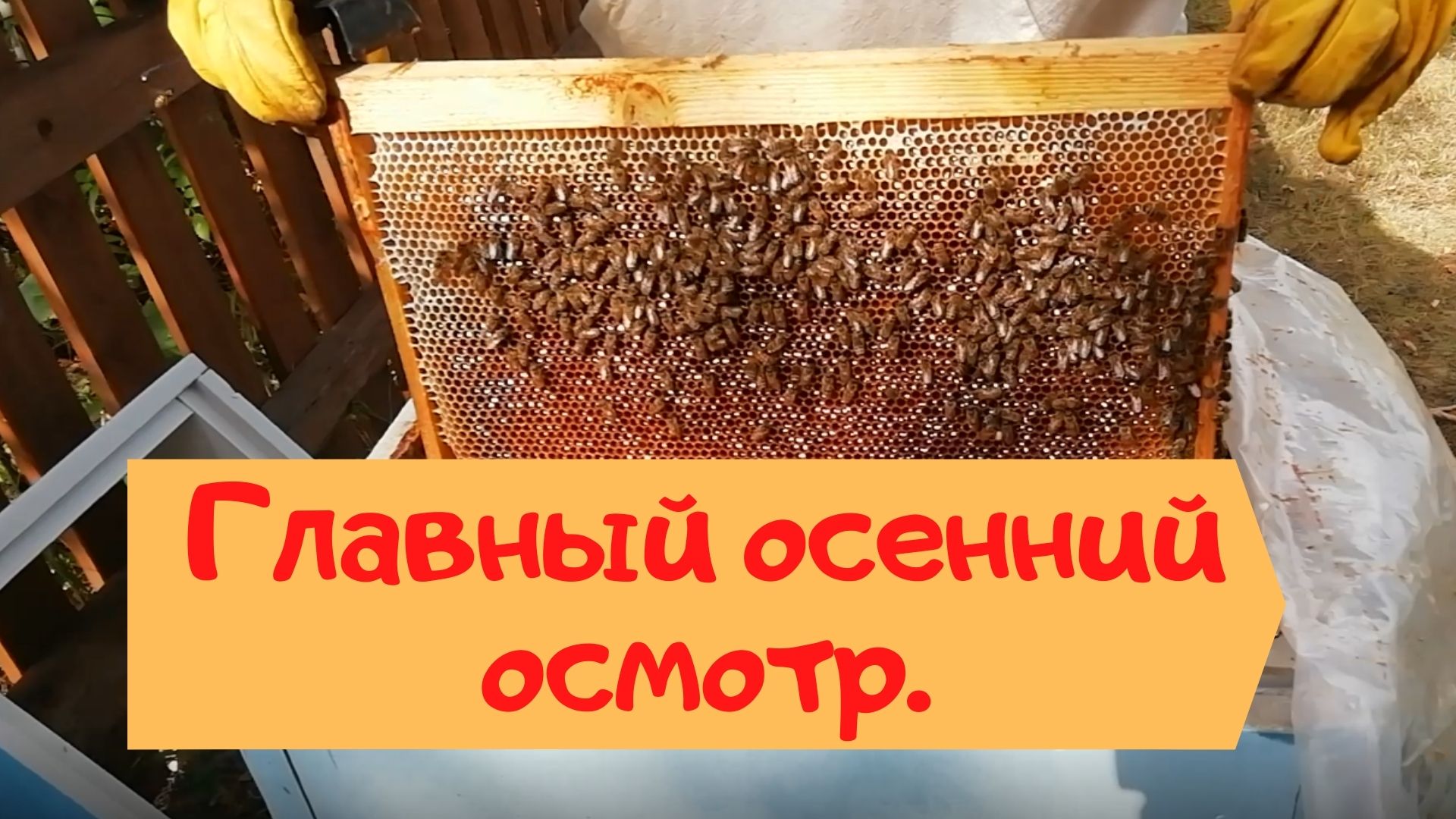 Работа на пасеке в августе. - Главный осенний осмотр. смотреть онлайн