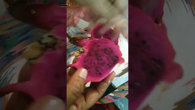 our own dragon tree fruit #shortvideo