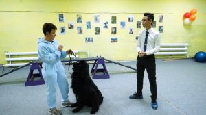 Советы кинолога