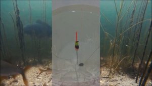 Поплавок с авторегулировкой глубины