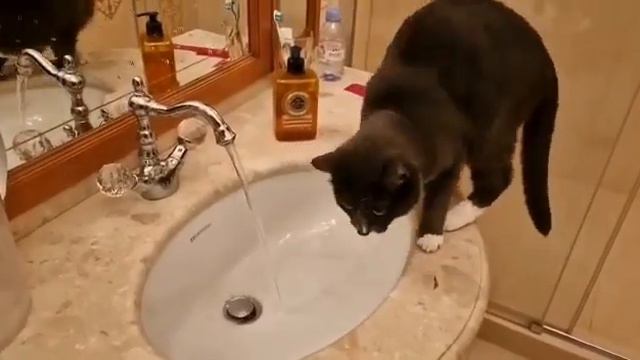 Гиацинт дома смотреть онлайн