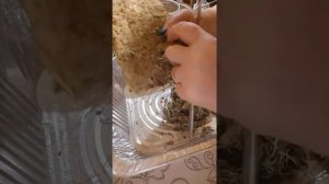 очистка агроваты после использования