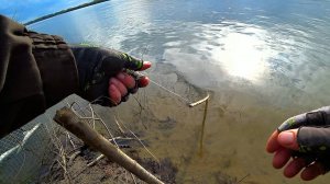 Подошли к РЕЗИНКАМ, а ОНИ ВЗЛЕТАЮТ ОДНА за ОДНОЙ! Бешеный клёв весной на РЕЗИНКИ!