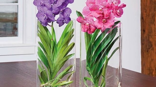 ПЛАСТИК ИЛИ КЕРАМИКА? | Почему я предпочитаю ГЛИНЯНЫЕ горшки? смотреть онлайн