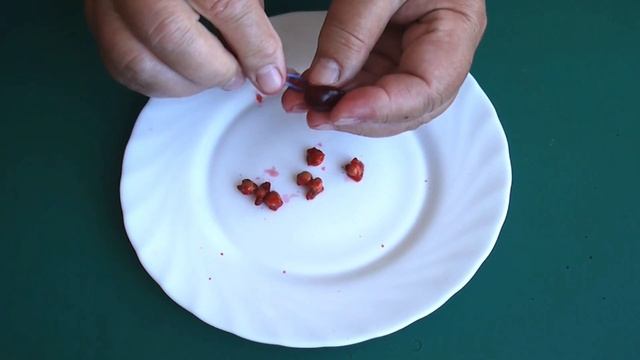 Как Удалить Косточки из Вишни/ Проверяю Несколько Способов/ Какой Выбираю?