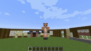 minecraft             MY NEW SKIN!    (fox)