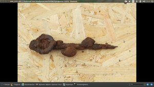 Fisher F 11 - отзыв