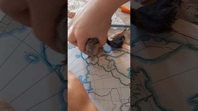 Ламинированные карты России