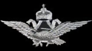 Ballad of the Green Berets