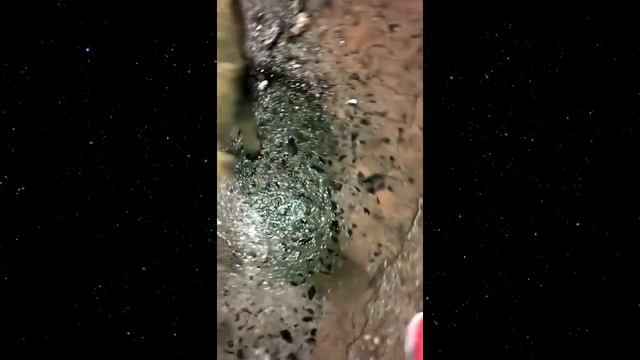 Из переполненного мусоровоза они услышали ЕДВА УЛОВИМЫЙ ПЛАЧ смотреть онлайн