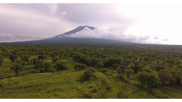 ОБ ИСТИННОЙ И МНИМОЙ ДРУЖБЕ. смотреть онлайн
