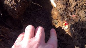 Монеты ЕСТЬ. УДАЧА и МЕТАЛЛОИСКАТЕЛЬ ХР ОРХ, НЕ ПОДВОДЯТ!!!