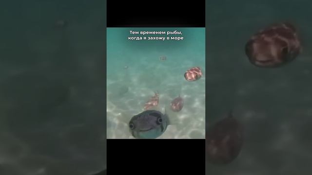 Анклет, от которого без ума абсолютно все 🐟🤍 Арт: 138238415