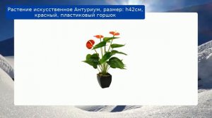 Растение искусственное Антуриум, размер: h42см, красный, пластиковый горшок