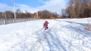 Как бесплатно и безопасно погулять с собакой в Южном городе - 6