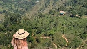 Путешествие Шри Ланка 2019 | 1 часть | Унаватуна, как добраться из аэропорта и местный колорит!