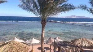 Можно ли купаться зимой в Египте /Погода в Шарм эль Шейх в конце января / Египет январь 2022