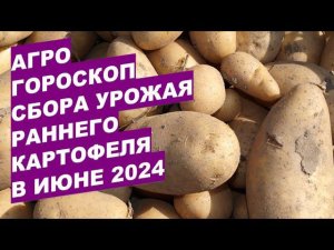 Агрогороскоп уборки раннего картофеля в июне 2024 Agrohoroscope for harvesting potatoes in June 2024