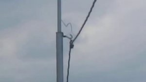 Карканье ворон