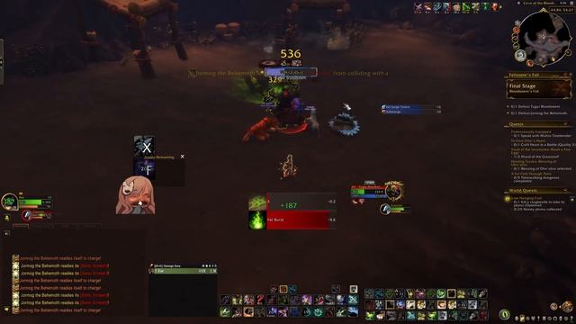 Beast Mastery Hunter Mage Tower (BM) | WoW Dragonflight 10.0.5 смотреть онлайн