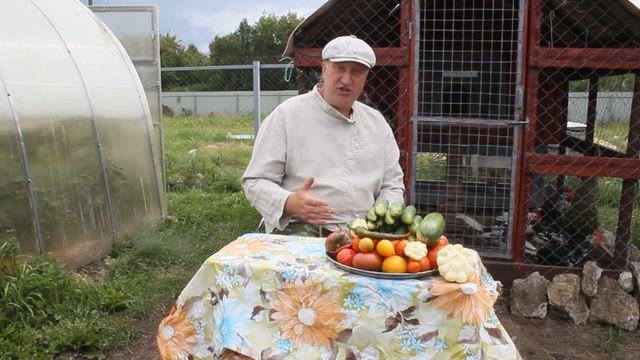 Куры клюют, и выдирают друг у друга перья. Быстрое решение проблемы.