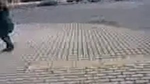 Проезд кортежа по Кутузовскому проспекту