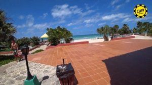 Отель Starfish Cuatro Palmas Varadero 4* / Cuba / Chip Travel