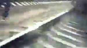 Отдай сало!!! (Наоборот)